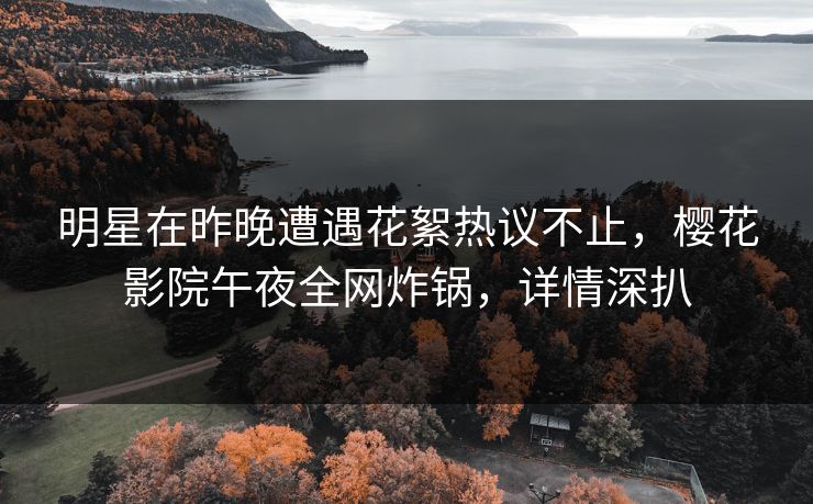 明星在昨晚遭遇花絮热议不止，樱花影院午夜全网炸锅，详情深扒